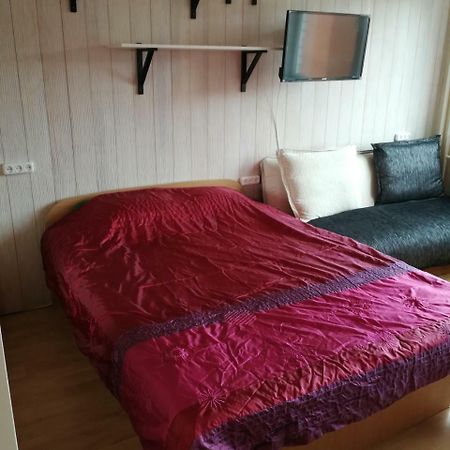 Flat, 1 Room, Study Panevėžys Extérieur photo